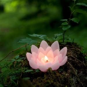 Meet your Posher, Cynthia